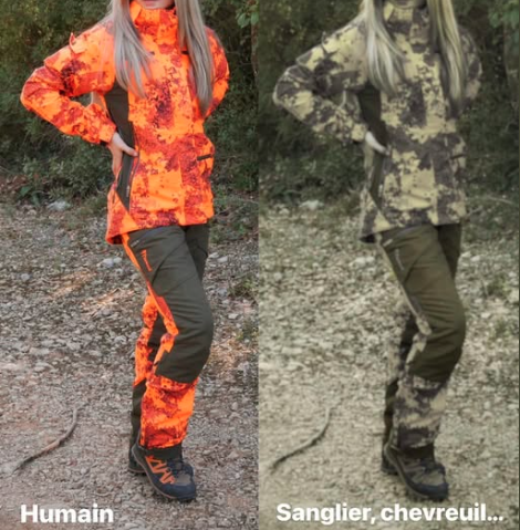 Pourquoi le orange fluo Ă la chasse ?